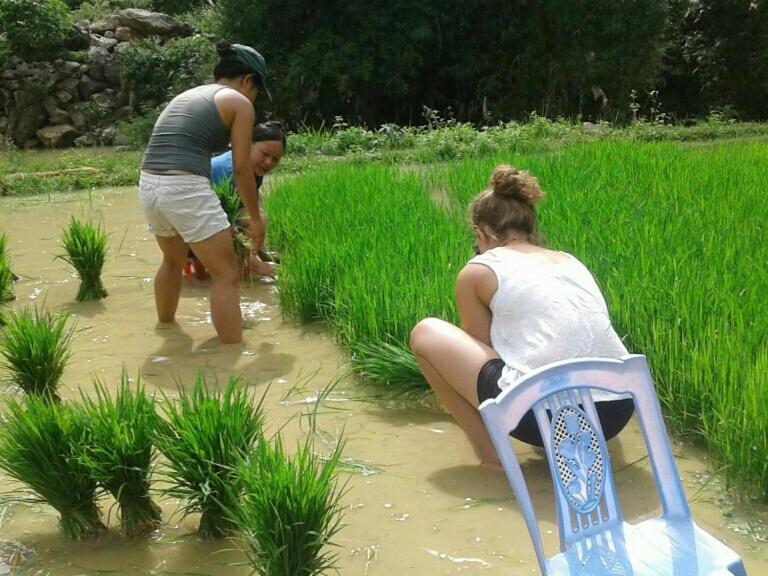 Yen Nhi Homestay Ban Gioc Као Банг Екстериор снимка
